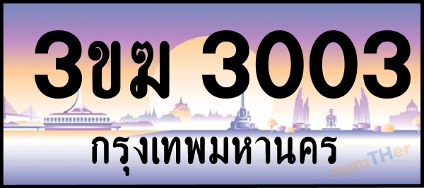 3ขฆ 3003 เลขทะเบียนรถ ป้ายประมูล ผลรวมเลขศาสตร์ 14