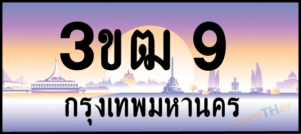 3ขฒ 9 เลขทะเบียนรถ ป้ายประมูล ผลรวมเลขศาสตร์ 17