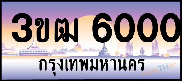 3ขฒ 6000 เลขทะเบียนรถ ป้ายประมูล ผลรวมเลขศาสตร์ 14