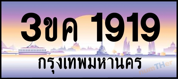 3ขค 1919 เลขทะเบียนรถ ป้ายประมูล ผลรวมเลขศาสตร์ 29