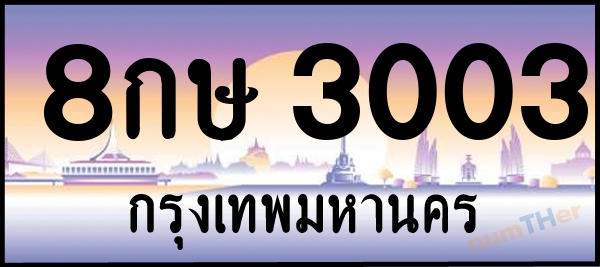 8กษ 3003 เลขทะเบียนรถ ป้ายประมูล ผลรวมเลขศาสตร์ 19